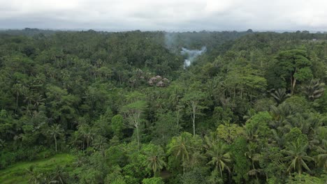Jungle-environment-with-a-patch-of-smoke-in-Bali,-Indonesia-on-a-cloudy-afternoon,-aerial
