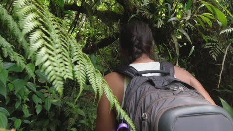 POV-camera-follows-woman-hiking-in-thick-green-jungle-in-Nicaragua