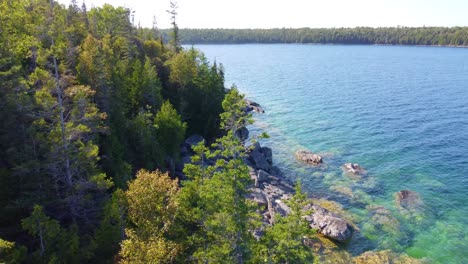 Vibrant-forest-tree-tops-on-rocky-lake-coastline,-aerial-view