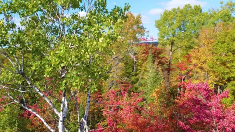 Wunderschöne-Bunte-Herbstwälder-Vor-Blauem-Himmel-In-Montreal,-Quebec