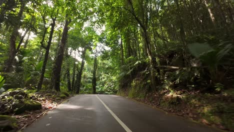 Driving-through-the-national-park-road,-dense-forest,-lush-vegetation-on-Mahe-island,-Seychelles-60-fps-1