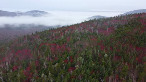 Luftaufnahmen-Eines-Nebligen-Waldes-Mit-Roten-Und-Grünen-Bäumen-Und-Bergen-Im-Hintergrund