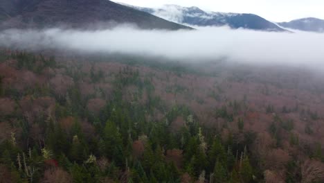 Drone-ascending-and-strafing-to-the-left-over-a-lush-forest-partly-covered-with-mist-and-fog-located-in-Mount-Washington,-New-Hampshire,-in-United-States-of-America