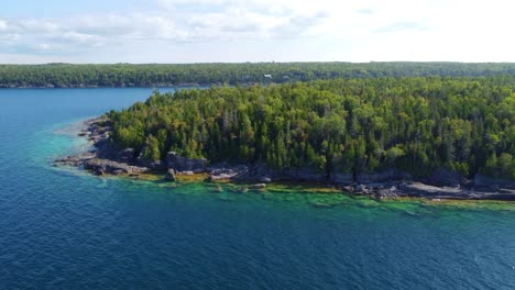 Beautiful-Canada-forest-on-lake-coastline-on-sunny-day,-aerial-view