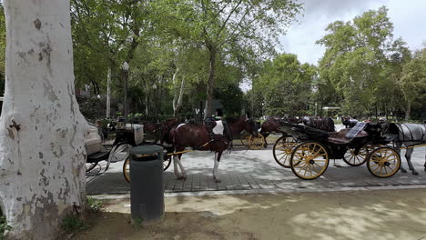 Plaza-De-España,-Sevilla,-Carruajes-Turísticos-A-Caballo-Esperando-A-Los-Clientes.