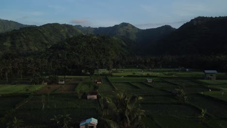 Luftaufnahme-über-Die-Wunderschöne-Landschaft-Von-Amed-Auf-Bali-Mit-Blick-Auf-Die-Palmen-Und-Reisfelder-Und-Die-Atemberaubenden-Bergketten-Im-Hintergrund-Während-Einer-Aufregenden-Reise-Durch-Indonesien