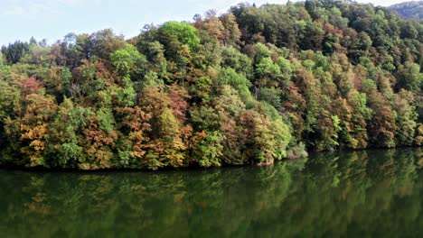 Wald-Mit-Bäumen-In-Verschiedenen-Grünen,-Roten-Und-Braunen-Farben,-Die-Sich-In-Einem-Fluss-Spiegeln,-Luftpanorama-Drohnenansicht
