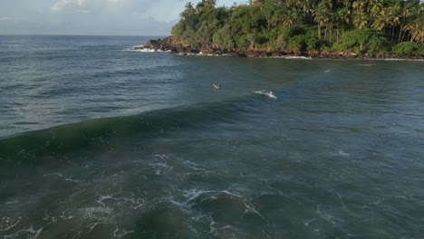 Aerial-Drone-Shot-of-Caucasian-Male-Surfing-and-Falling-in-Tropical-Sri-Lankan-Bay-in-Hiriketiya-South-Coast