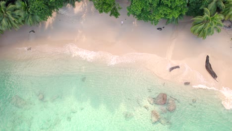 Drone-footage-of-white-sandy-beach,-coconut-palm-trees,-turquoise-water,-granite-stones-and-man-running-to-the-water,-wet-his-hand-and-went-back-up-at-the-sunset-beach,-Mahe-Seychelles-30fps