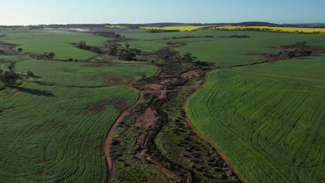 Aerial-flyover-dry-river-with-sand-surrounded-by-green-nature-in-Western-Australia---Climate-change-on-global-warming-concept