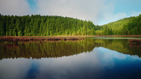 Mountain-lake-surrounded-by-green-high-pines