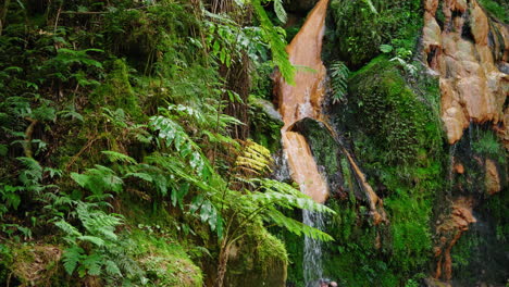 Close-up-shot-of-natural-streaming-water-coming-down-moss-covered-rocks-in-the-forest