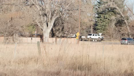 Unrecognizable-Bike-Riders-on-Bike-Path-in-Town