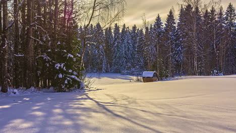 Sunny-winter-day-in-forest-with-small-wooden-sauna-building,-time-lapse