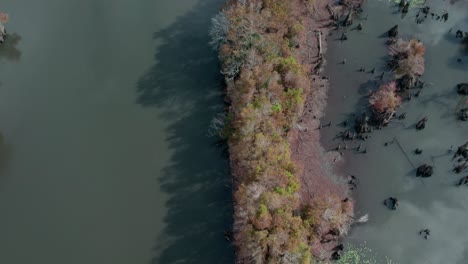 Luftaufnahmen-über-Flüssen,-Feuchtgebieten-Und-Dichten-Sumpfzypressen-Im-Herbst-In-Florida