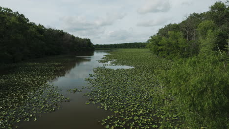 Plantas-Acuáticas-Flotando-En-El-Lago-En-Lamar,-Missouri,-EE.UU.