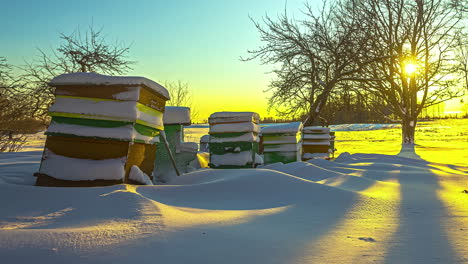 Beehives-covered-in-snow-during-golden-sunset,-time-lapse-view