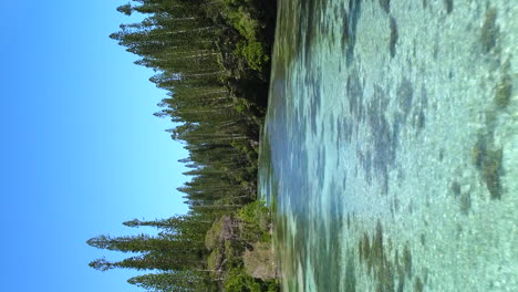 Die-Laguna-Und-Ihr-Kristallklares-Wasser-Fließen-Zum-Natürlichen-Pool-Oro,-Der-Insel-Der-Kiefern