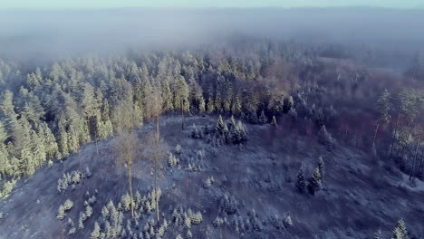 Beautiful-winter-forest-and-fog-above-it,-aerial-drone-view