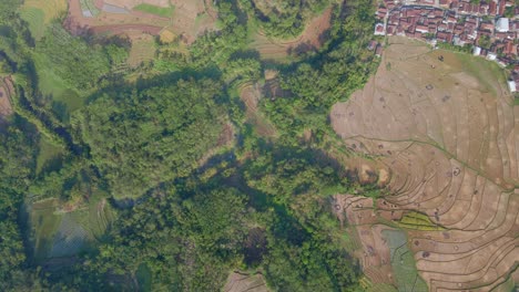 Flying-over-tropical-countryside-with-plantation-and-settlements-in-dry-season