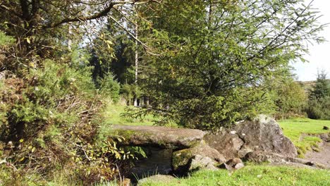 Man-walking-over-a-stone-bridge-over-a-stream-in-Bellever-forest-in-Dartmoor-National-park,-Devon,-England