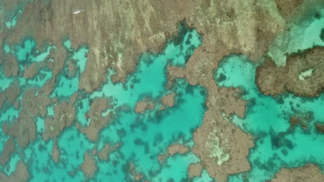 Luftumlaufbahn-über-Korallenriffen-Im-Kristallklaren-Wasser-Der-Insel-Der-Kiefern,-Neukaledonien