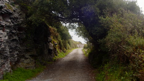 Mid-shot-of-trees-over-growing-country-lane-on-to-rocks-at-Bessy's-Cove,-The-Enys,-cornwall