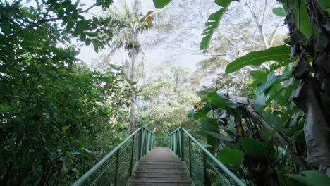 Point-of-view:-crossing-a-tropical-forest-bridge,-slow-motion-tracking-shot