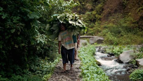 Lokale-Sasak-Dorfbewohner-In-Lombok,-Indonesien,-Die-An-Einem-Wunderschönen-Flusslauf-Entlang-Spazieren