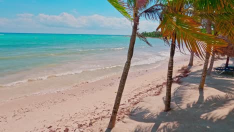 Tulum-Mexiko-Langsam-Aufsteigende-Aufnahme-Von-Palmen-An-Einem-Strand-Im-Karibischen-Meer-In-Der-Nähe-Von-Cancun