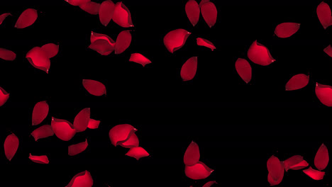 Rosenblütenblätter,-Valentinsschleife,-Wirbel-Mit-Alpha