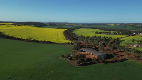 Agricultural-shed-surrounded-by-yellow-and-green-fields,-Western-Australia