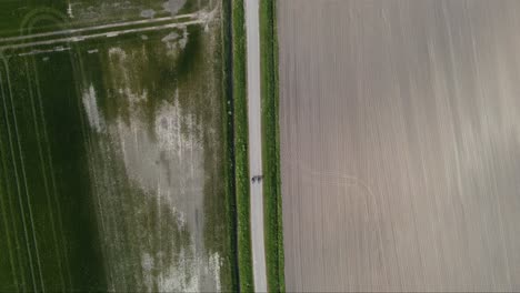 Zwei-Menschen-Fahren-Mit-Dem-Fahrrad-Auf-Einer-Straße-Zwischen-Zwei-Feldern-In-Den-Niederlanden