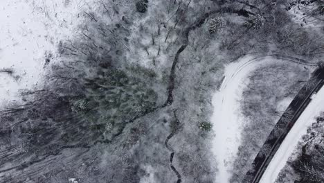 Straße-Und-Ein-Fluss-In-Einem-Wald,-Der-Im-Winter-Mit-Schnee-Bedeckt-Ist