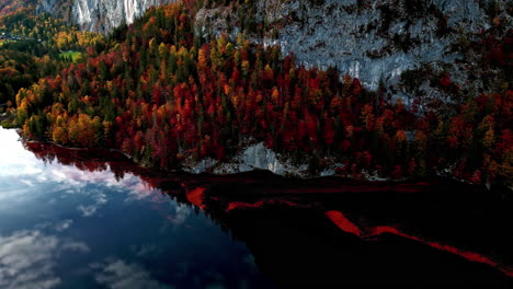Dense-autumn-foliage-in-the-mountain-forest-of-Austrian-Alps,-Europe