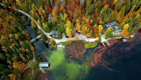 Aerial-of-vibrant-and-colorful-Lake-Toplitz-dense-autumn-foliage-in-the-Austrian-Alps,-Autumn-trees-colorful-landscape,-Famous-hiking-area-with-scenic-landscape,-Austria