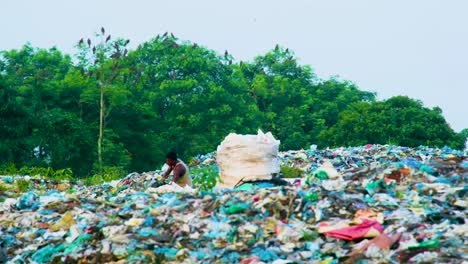 Mann-Arbeitet-Auf-Einer-Mülldeponie,-Während-Vögel-über-Plastikmüll-Fliegen