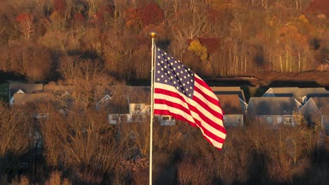 American-flag-waving-over-neighborhood-nestled-between-bare-trees-in-winter