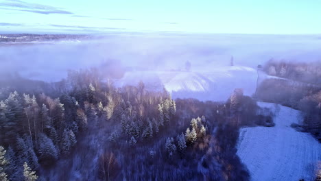 Aerial-shot-over-snow-covered-pine-forests-on-mountain-slopes,-towards-a-winter-valley
