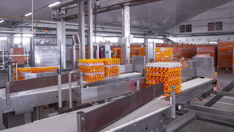 Trays-loaded-onto-a-conveyor-belt-at-an-egg-packing-factory---time-lapse
