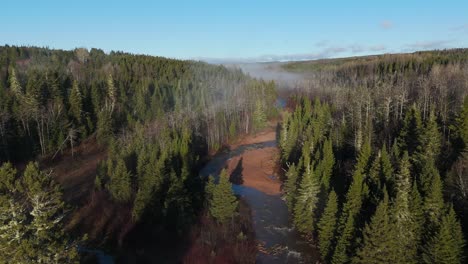 Nebliger-Morgen-über-Einigen-Bäumen-Und-Einem-Fluss,-Aufgenommen-Von-Einer-Drohne-In-4k-60fps