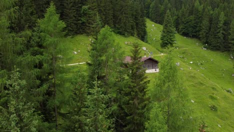 Pequeña-Cabaña-Rodeada-De-Un-Bosque-En-Los-Alpes-Austriacos
