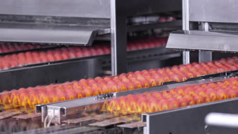 Cartons-of-sorted-eggs-on-a-factory-conveyor-belt---time-lapse