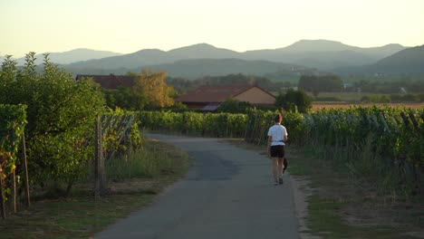 Beautiful-Young-Fit-French-Girl-Walking-with-a-Dog-To-Vineyards-in-Bergheim-Outskirts-During-Sunny-Evening