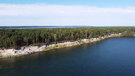 Pine-tree-forest-on-coastline-of-Tallinn-bay,-aerial-drone-view