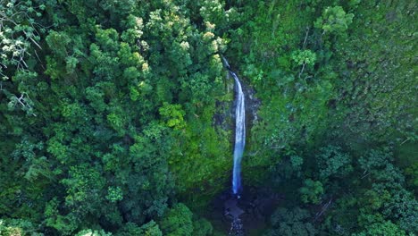 Gigantic-steep-waterfall-in-the-Caribbean-rainforest-jungle,-aerial-orbit