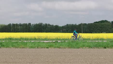 Side-view-pullback-of-man-cycling-on-bike-path-with-yellow-field-behind