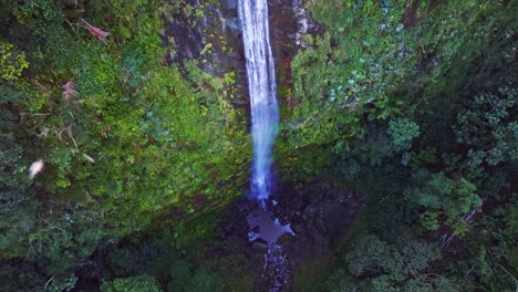 Top-down-aerial-exotic-rainforest-with-untouched-nature-and-steep-waterfall