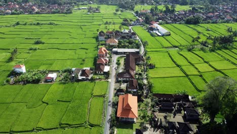 Balinese-Charm-from-Above:-4K-Drone-View-of-Ubud,-Bali