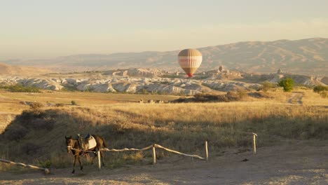 Globo-Aerostático-Paisaje-Escénico-Caballo-Enganchado-Experiencias-De-Turismo